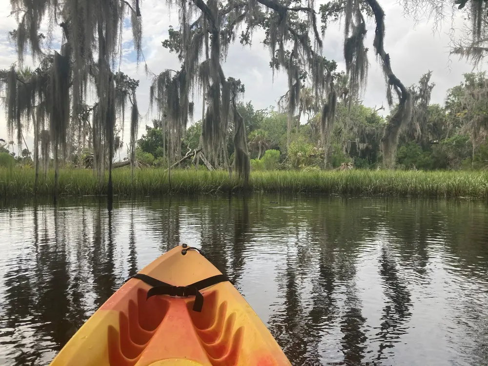 Kayak gliding through a quiet creek under moss-draped oaks at Crystal River Preserve